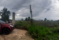 Chuyển nhượng 2648m2 đất hẻm XH Suối Quýt, xã Cẩm Đường. Giá 3,2 triệu/m2. Phí 2%.