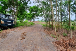 Chuyển nhượng 1160,2m2 đất mặt tiền Phạm Văn Hòa, xã Cẩm Đường, huyện Long Thành