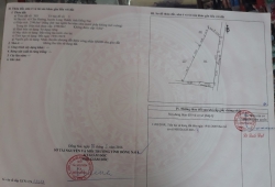 Chuyển nhượng 7 sào đất góc 2 mặt tiền đường 4m xã Cẩm Đường, giá 2,9 triệu/m2. Phí dịch vụ 2%.