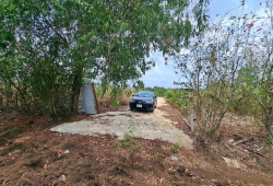 2305m đất chữ nhật đẹp đẽ tại xã Cẩm Đường. Giá chỉ 3.500.000đ/m2