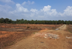 Chuyển nhượng 506m có 200m ONT xã Bình Sơn. Đối diện dự án KDC Đại Hoàng Hảo. 