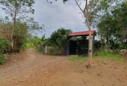 3143m2 đất TMDV cổng ra phía đông sân bay Long Thành