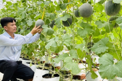 Xây dựng đội ngũ nông dân vững mạnh