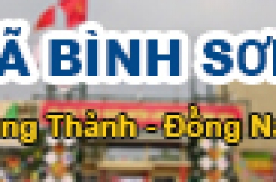 Tổng Quan Về Xã Bình Sơn