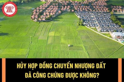 Yêu cầu hủy hợp đồng chuyển nhượng quyền sử dụng đất