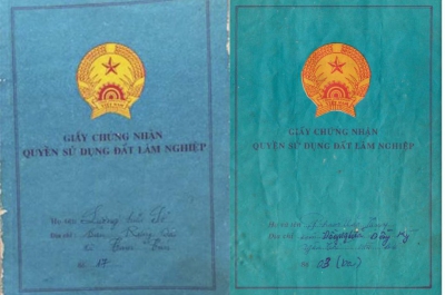 Sổ xanh và những quy định cần biết