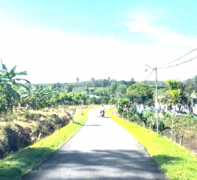 Ban hành Hệ thống chỉ tiêu thống kê cấp tỉnh, cấp huyện, cấp xã