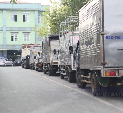 Các trung tâm đăng kiểm tại Đồng Nai đều quá tải