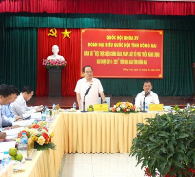 Đồng Nai quy hoạch thêm 11 dự án điện