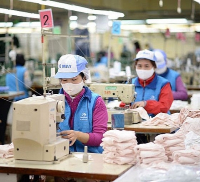 Doanh nghiệp Việt Nam đang có 