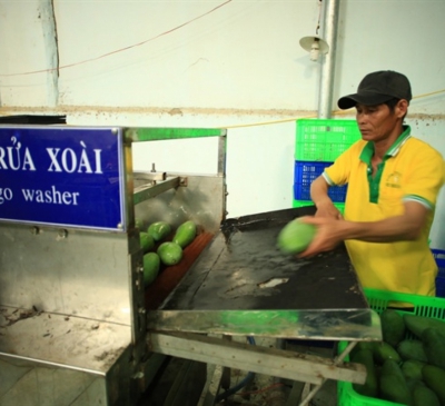 Để xuất khẩu rau quả đạt 10 tỷ USD: Cần gỡ “nút thắt” công nghệ bảo quản