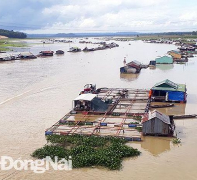 Tuyên truyền, vận động di dời và sắp xếp đối với các hộ nuôi cá lồng bè trên hồ Trị An