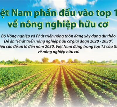 Đề án phát triển nông nghiệp hữu cơ giai đoạn 2020 – 2030