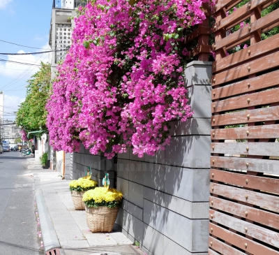 Nhà hướng Tây hợp tuổi nào và thiết kế sao cho hợp phong thủy?