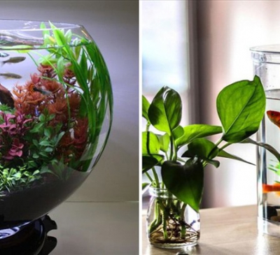 Ba cách bố trí nội thất hợp phong thủy cho năm 2022