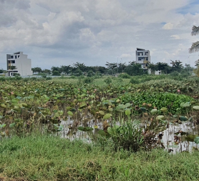 Công khai thông tin quy hoạch, dự án thu hồi đất trên truyền thông