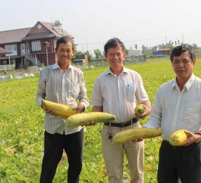 Long Thành phấn đấu hoàn thành nhiệm vụ xây dựng nông thôn mới nâng cao vào năm 2024