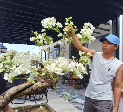 Đồng Nai: Xuân về trên khu tái định cư Lộc An - Bình Sơn