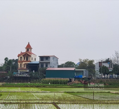 Lưu ý quan trọng về quy định chuyển đất nông nghiệp năm 2023