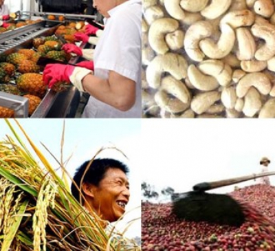 Tăng cường xuất khẩu nông sản những ngày đầu năm