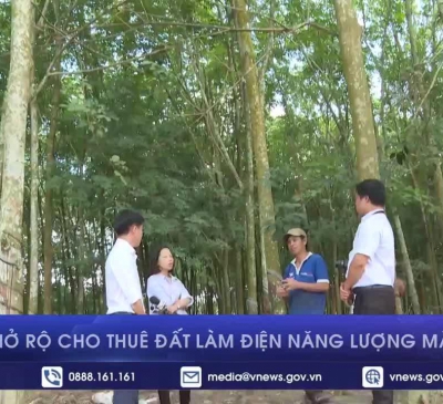 Bình Phước: “Nở rộ” cho thuê đất làm năng lượng mặt trời