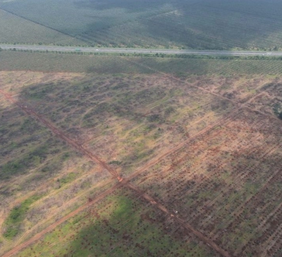 Sẵn sàng bàn giao mặt bằng xây dựng sân bay Long Thành giai đoạn 1