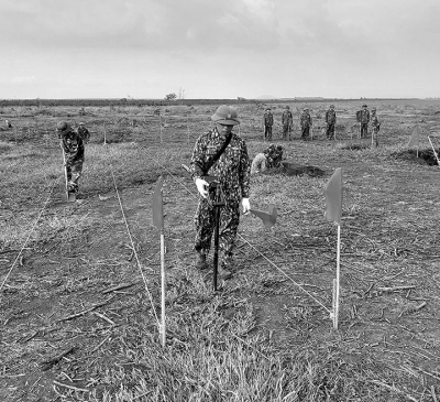 Rốt ráo đẩy nhanh tiến độ xây dựng Sân bay Long Thành