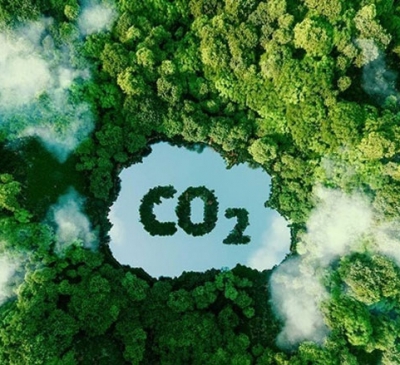 Sớm có khung pháp lý cho thị trường tín chỉ carbon