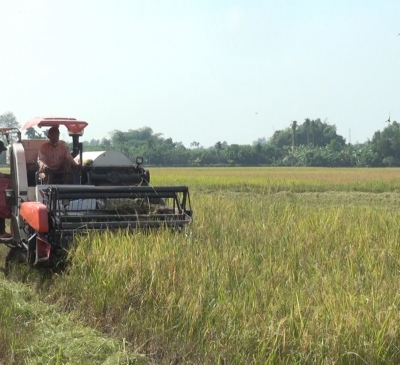 Xây dựng bản đồ đất chuyên trồng lúa nước tỉnh Đồng Nai đến năm 2023