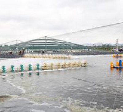 Đồng Nai còn trên 463,7 ngàn ha đất nông nghiệp