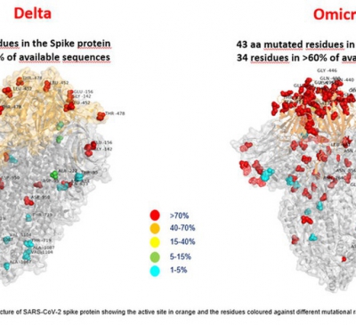 Đề xuất tạm dừng nhập cảnh hành khách về từ vùng có biến thể Omicron
