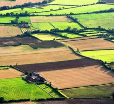 Đất nông nghiệp, phi nông nghiệp năm 2021 có hệ số là 1