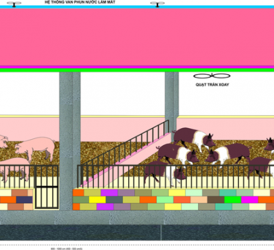 Chăn nuôi an toàn, hiệu quả với đệm lót sinh học