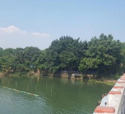 Phê duyệt phương án giá đất để tính tiền bồi thường đối với 2 dự án gia cố bờ sông Đồng Nai