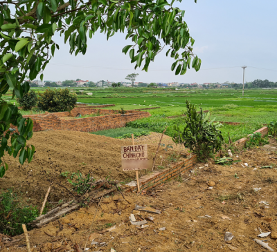 Suýt đền cọc 150 triệu đồng vì 'bẫy' hợp đồng mua đất