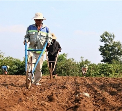 Phạt tới 150 triệu đồng nếu tự ý san lấp đất nông nghiệp