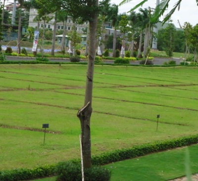 Điều kiện, quy trình thực hiện dự án phân lô, bán nền cho người dân