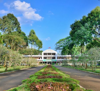 Liên tục thu hồi nhiều diện tích đất do Tổng Công ty Cao su Đồng Nai quản lý