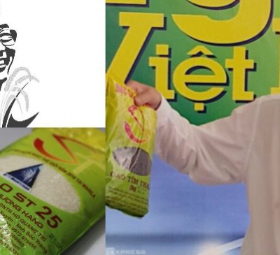 Gạo ST25 được đăng ký tại Mỹ với nhãn hiệu 