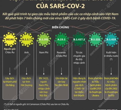 Việt Nam đã có 7 biến chủng của virus SARS-CoV-2