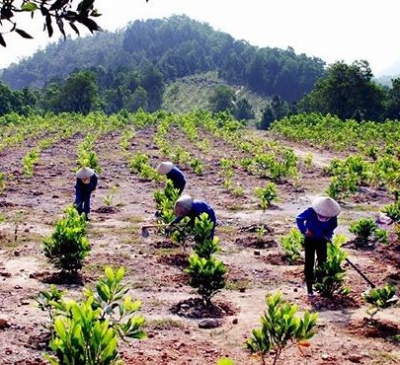 Hành vi nào bị nghiêm cấm trong Dự thảo Luật Đất đai (sửa đổi)?