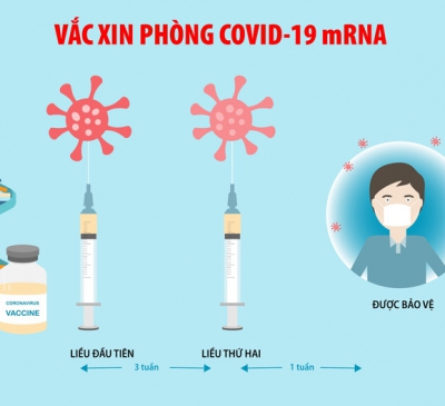 VACCINE CÔNG NGHỆ mRNA ĐẦU TIÊN ĐƯỢC THỬ NGHIỆM TẠI VIỆT NAM