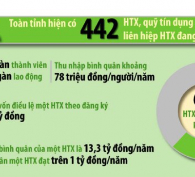 Đồng Nai: Kinh tế tập thể đạt những chuyển biến khá tích cực