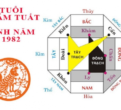 Cách chọn hướng nhà tuổi Nhâm Tuất