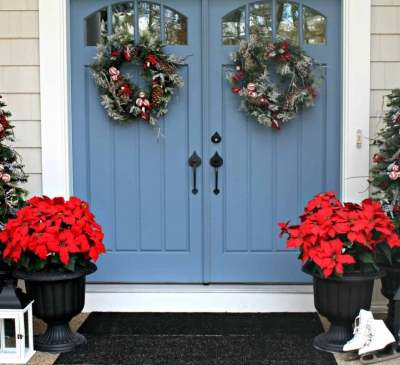 Không gian sống rực rỡ với hoa trạng nguyên