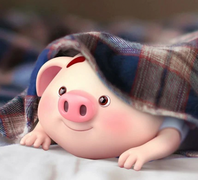 Chọn màu sắc nội thất hợp phong thủy cho gia chủ Tuổi Hợi