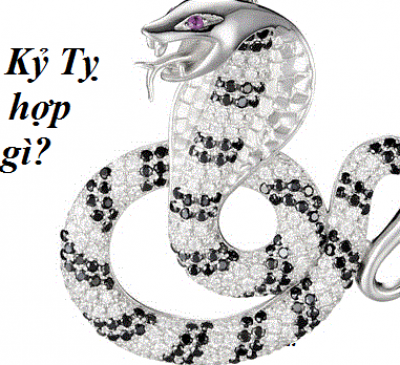 Tuổi Tỵ hợp màu gì? Màu sắc nội thất hợp phong thủy cho gia chủ tuổi Tỵ