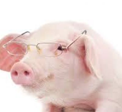 HƯỚNG NHÀ, HƯỚNG LÀM VIỆC CHO TUỔI QUÝ HỢI TÀI LỘC QUANH NĂM