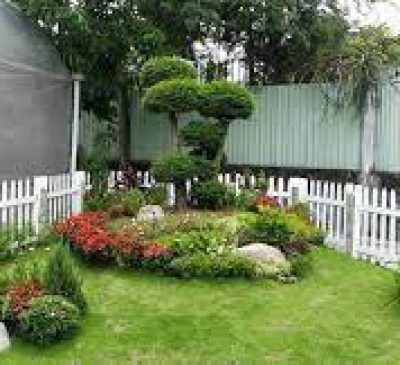 Phong thủy kiến tạo cảnh quan sân vườn