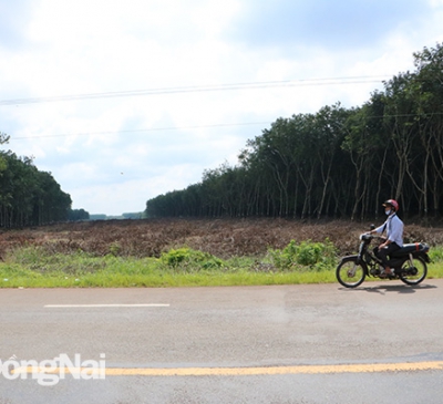 Khởi công xây dựng đường cao tốc Phan Thiết - Dầu Giây